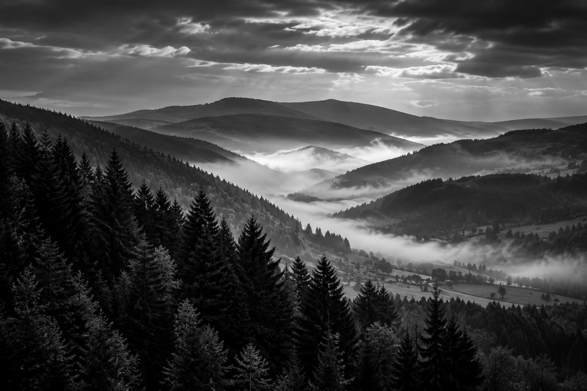 Paysage vosgien PORTIEUX